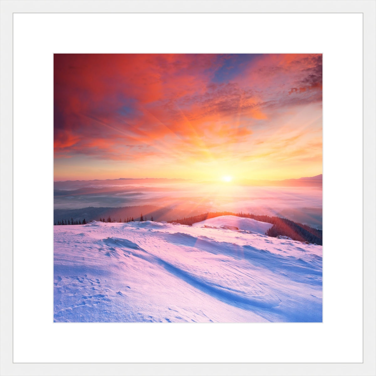 Winter Sunset