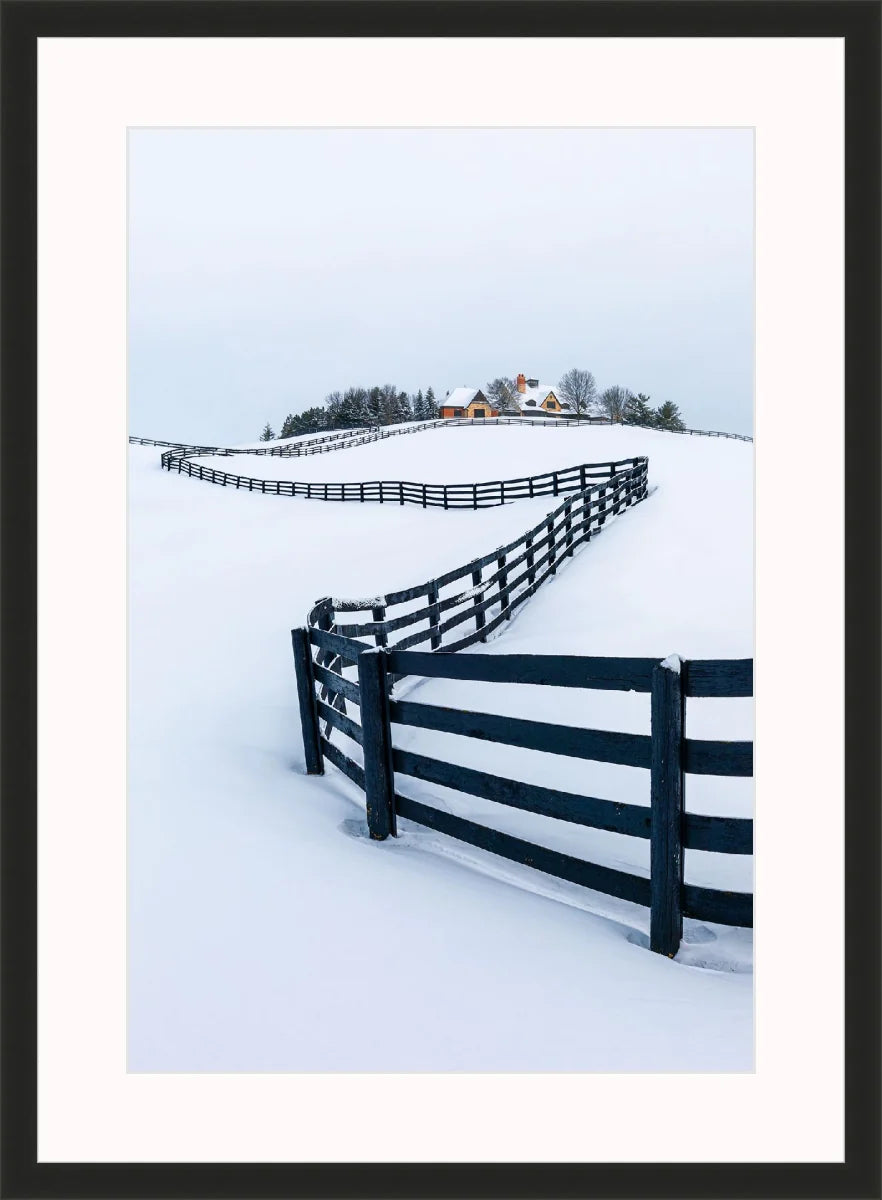 Winter Wonderland
