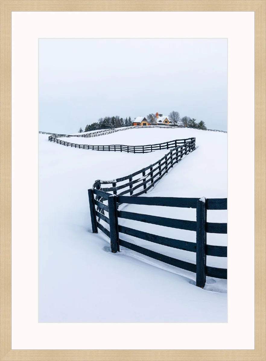 Winter Wonderland