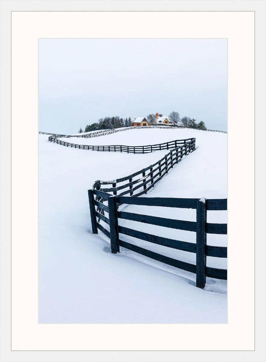 Winter Wonderland
