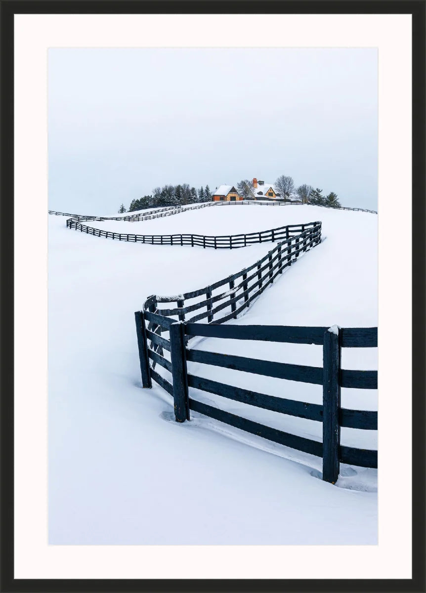 Winter Wonderland