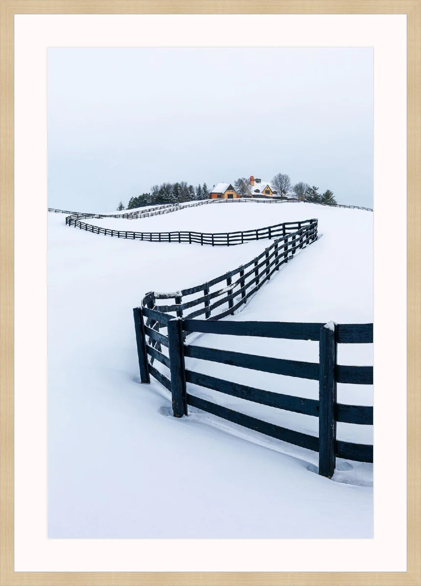 Winter Wonderland