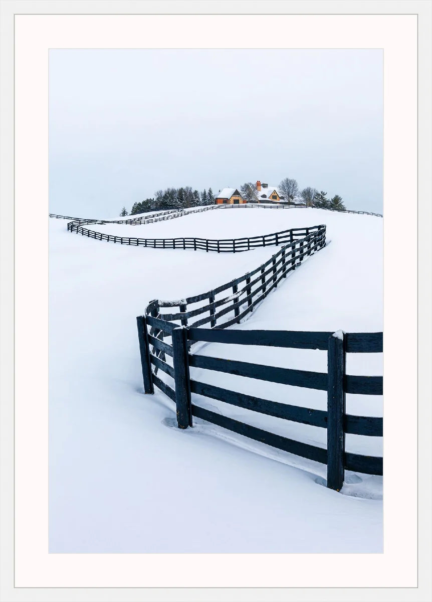 Winter Wonderland