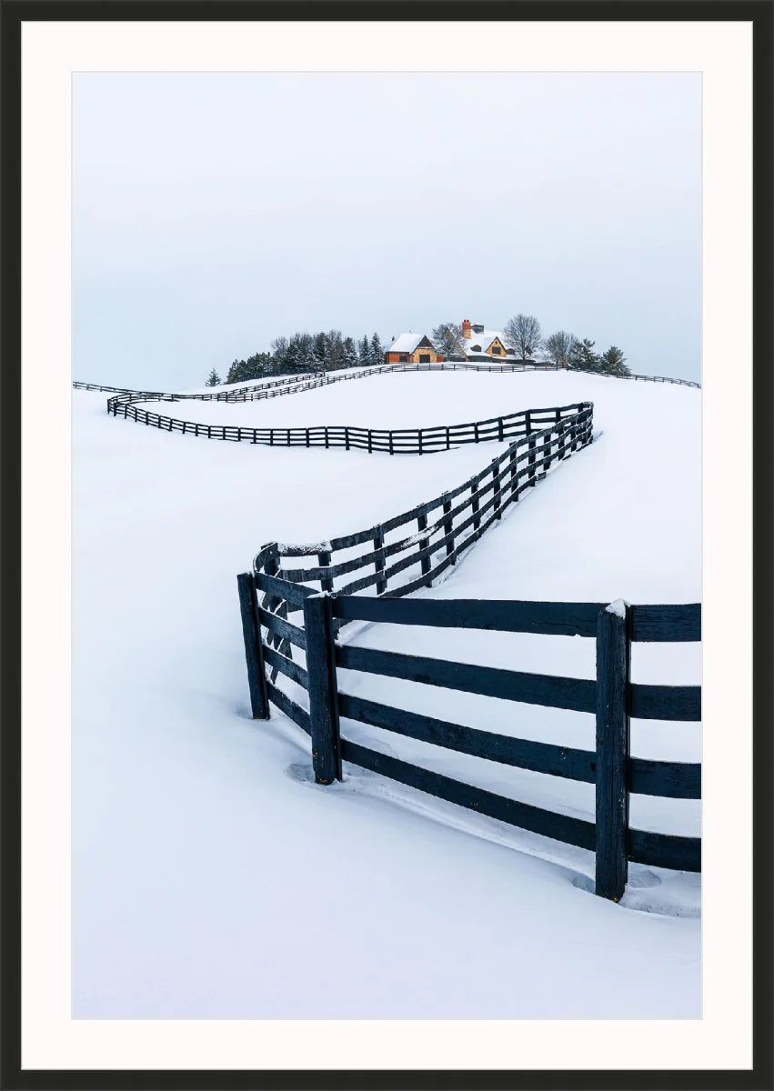 Winter Wonderland