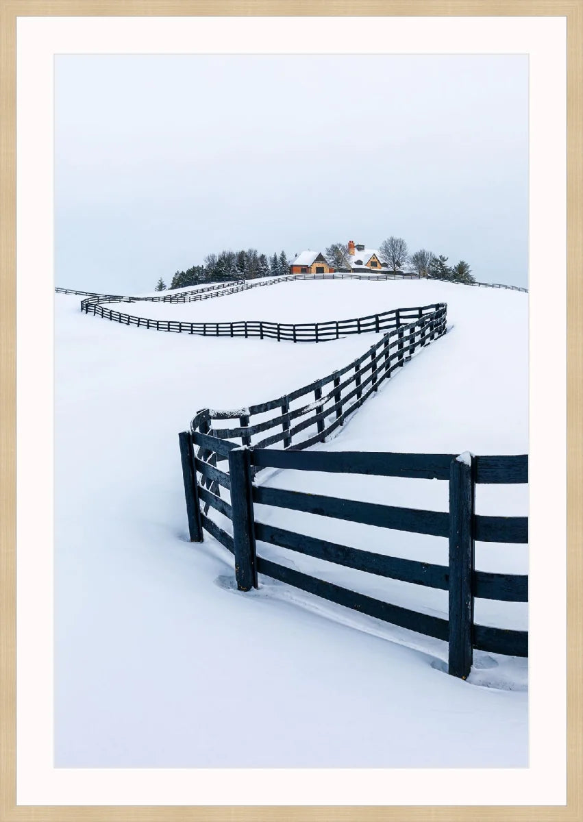 Winter Wonderland