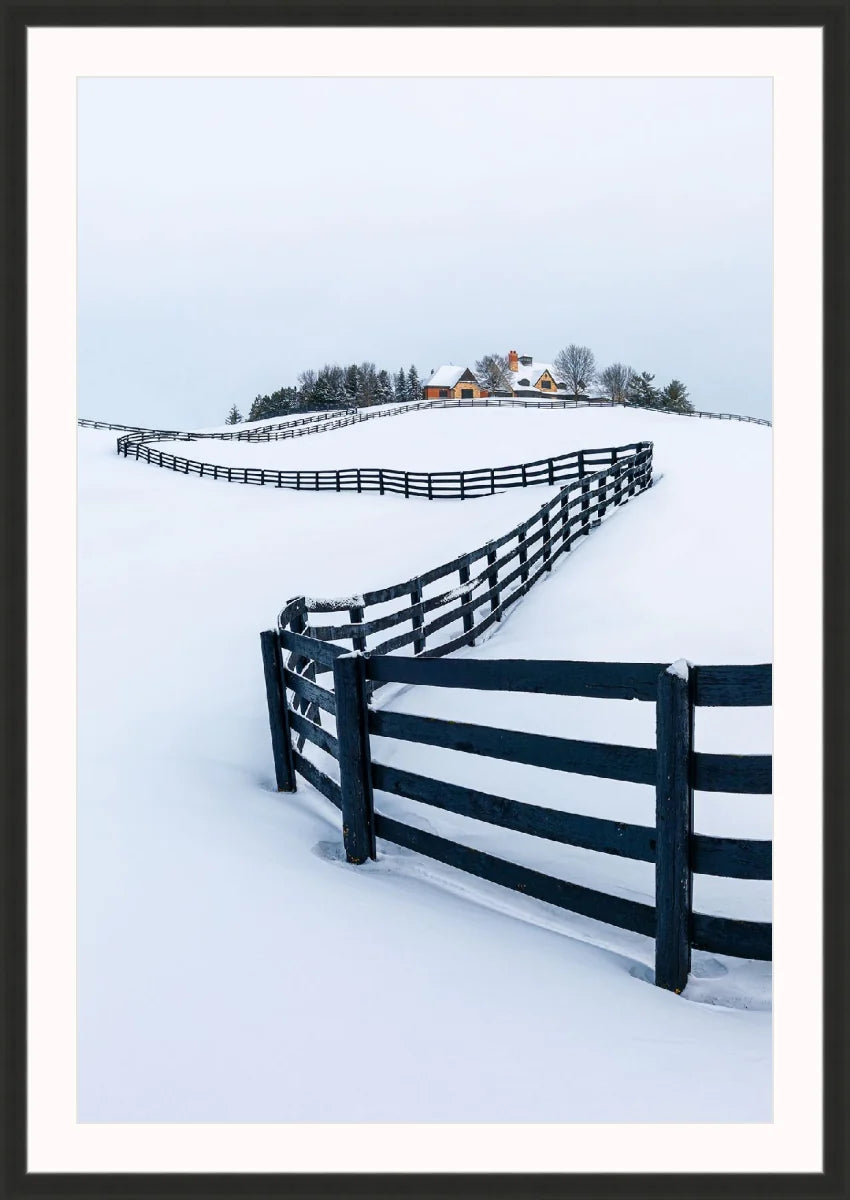 Winter Wonderland