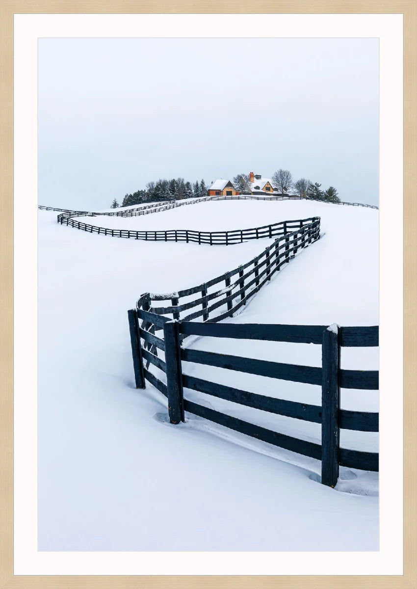 Winter Wonderland