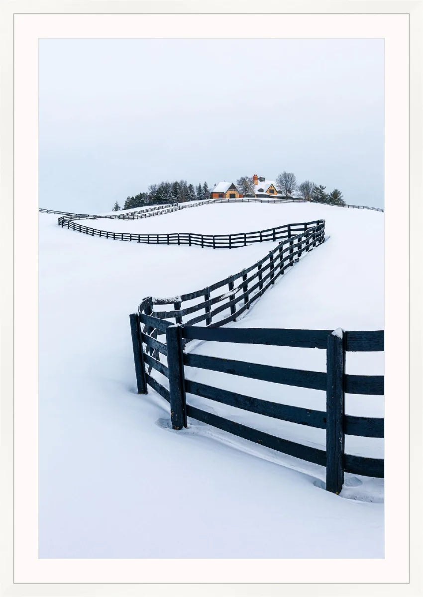 Winter Wonderland
