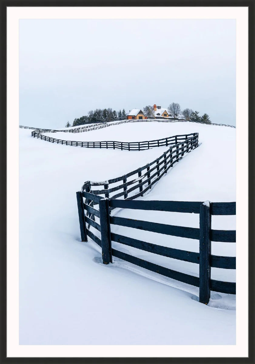 Winter Wonderland