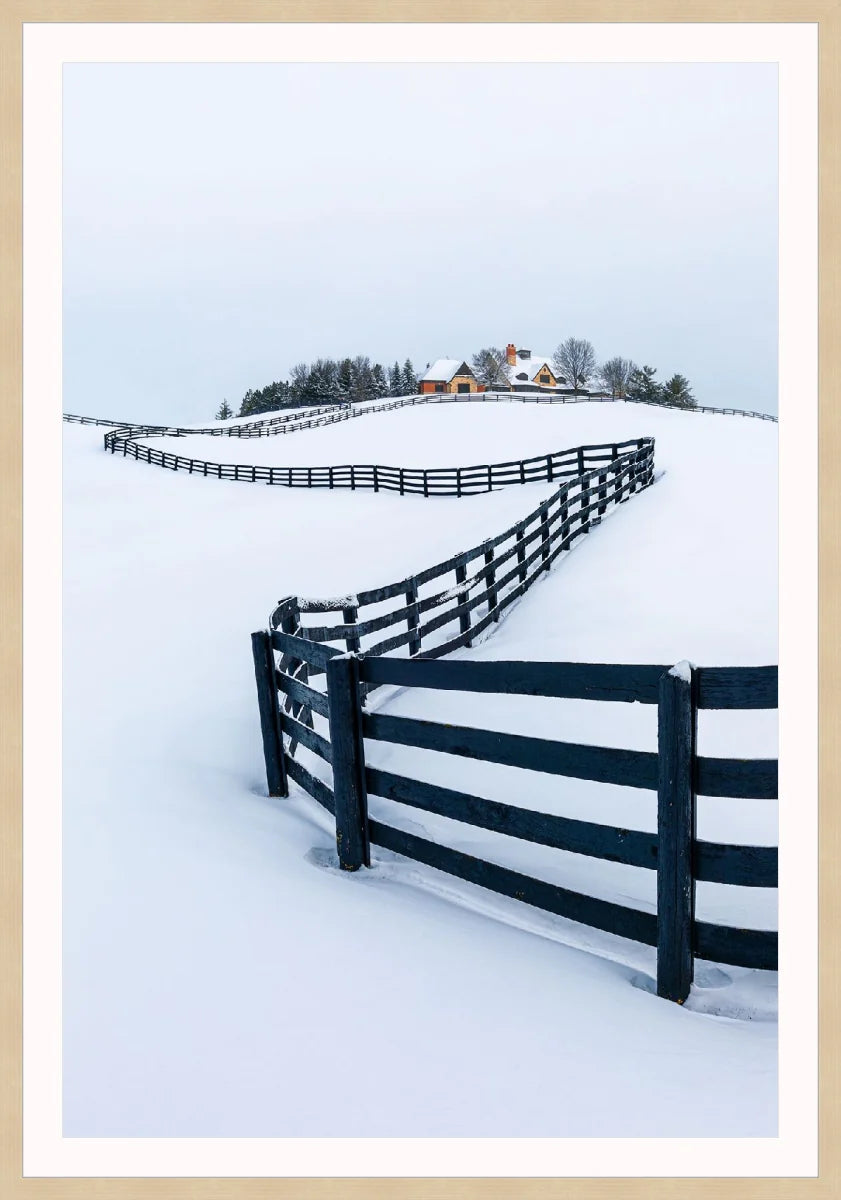 Winter Wonderland