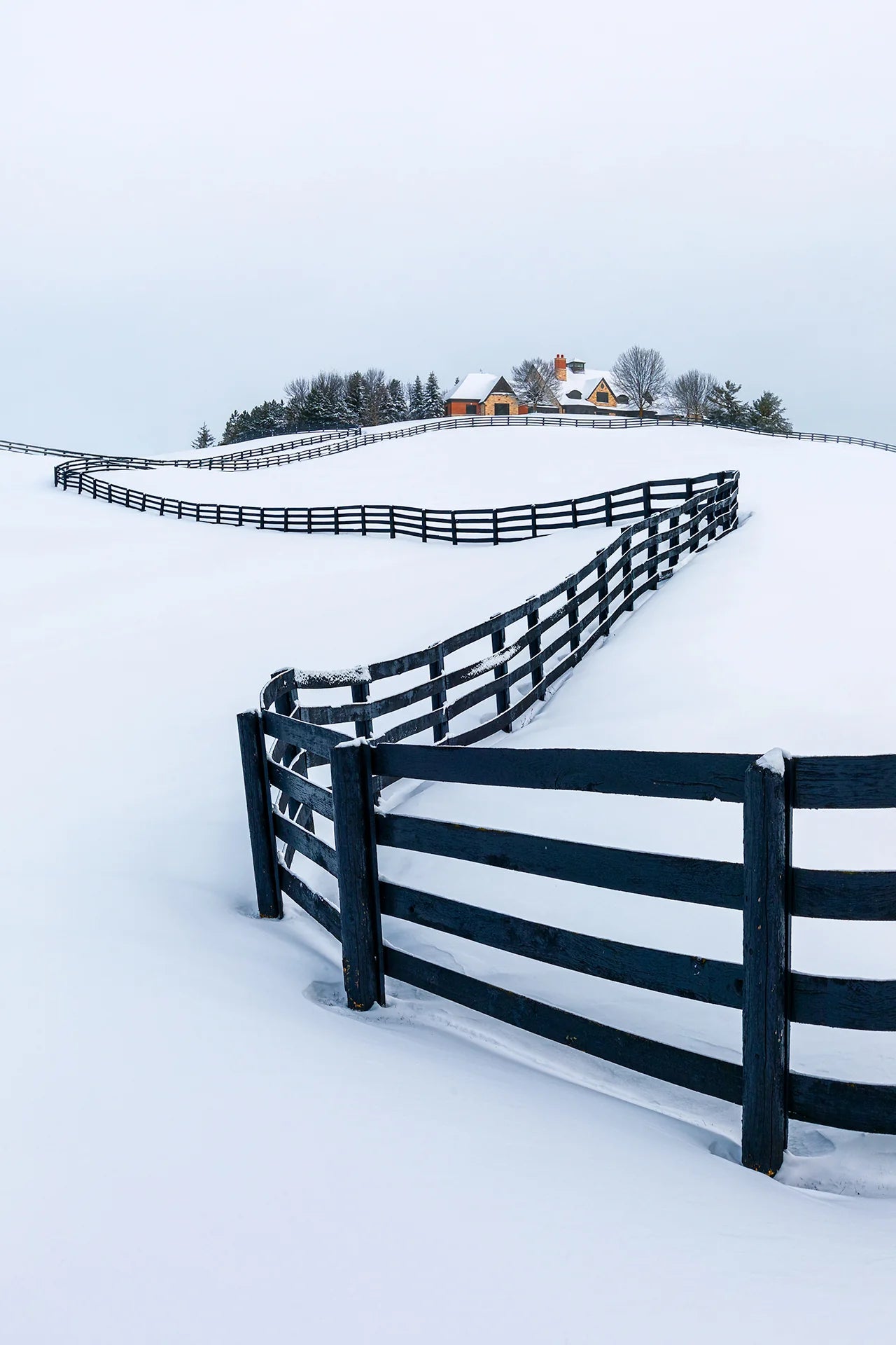 Winter Wonderland