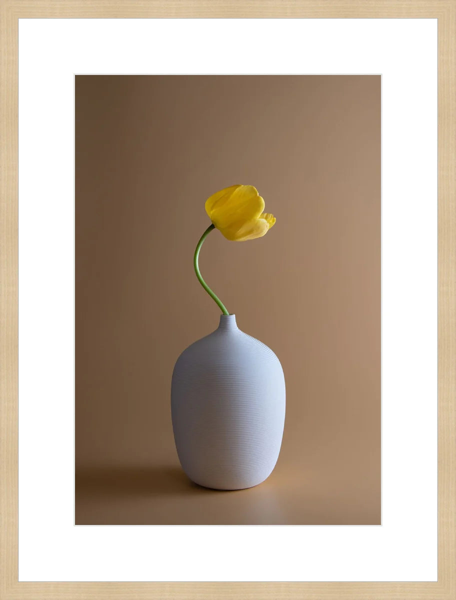 Yellow Flower