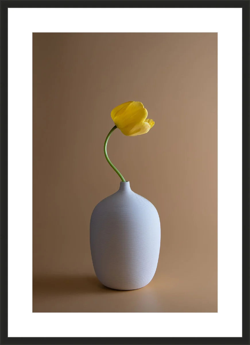 Yellow Flower