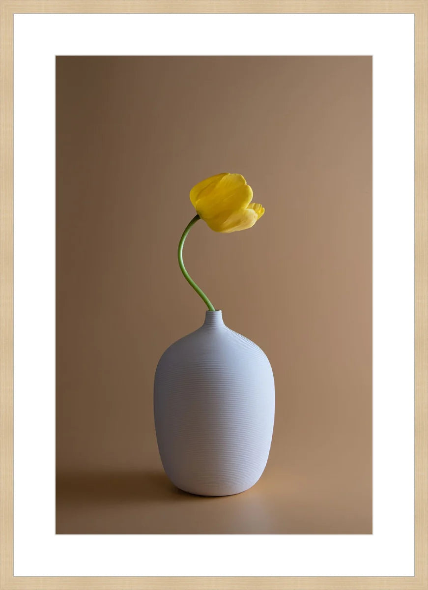 Yellow Flower