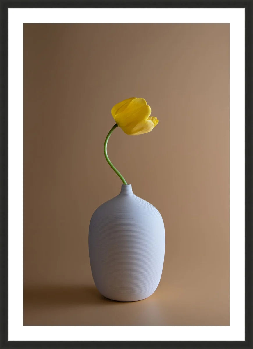 Yellow Flower