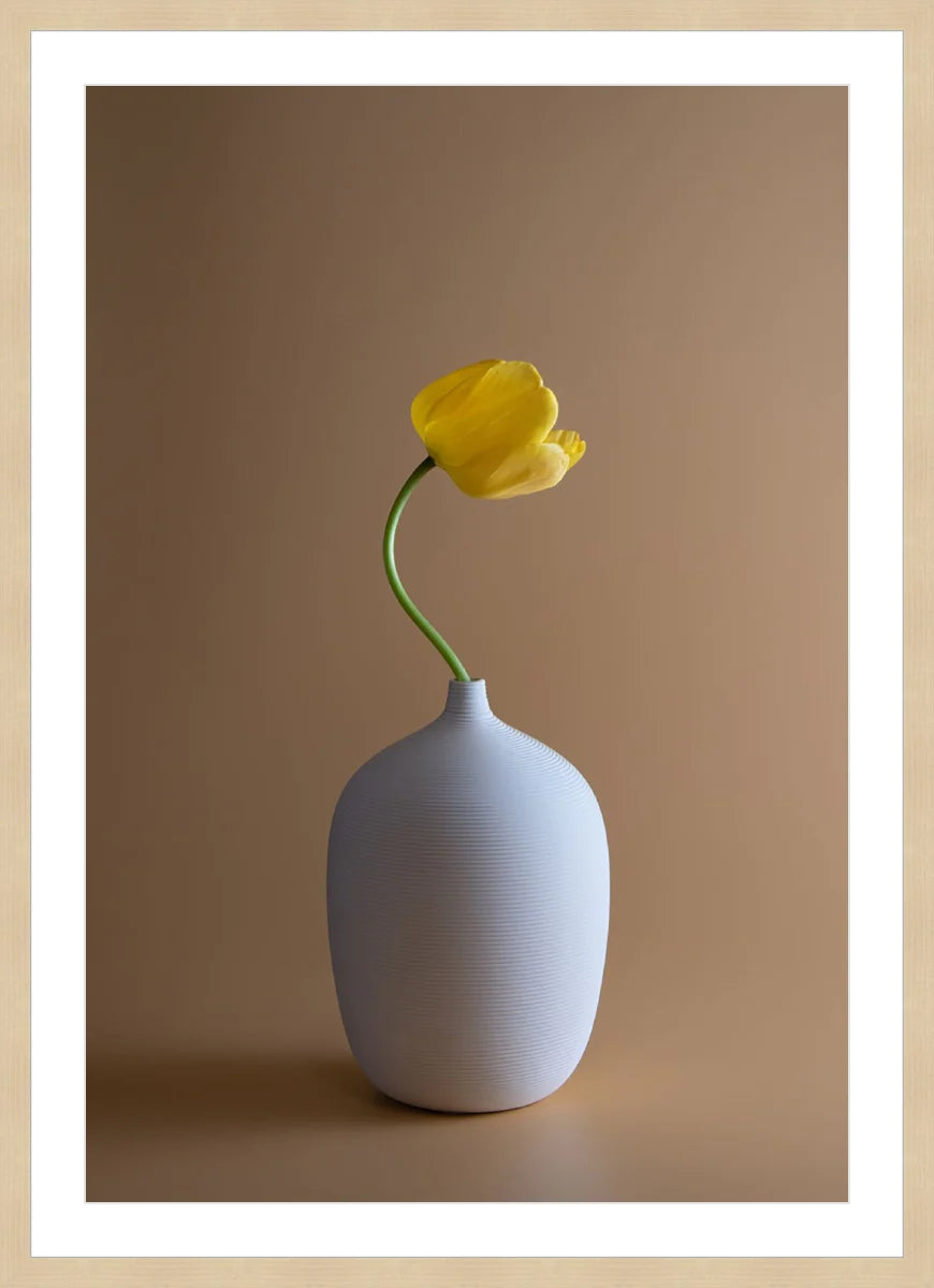 Yellow Flower