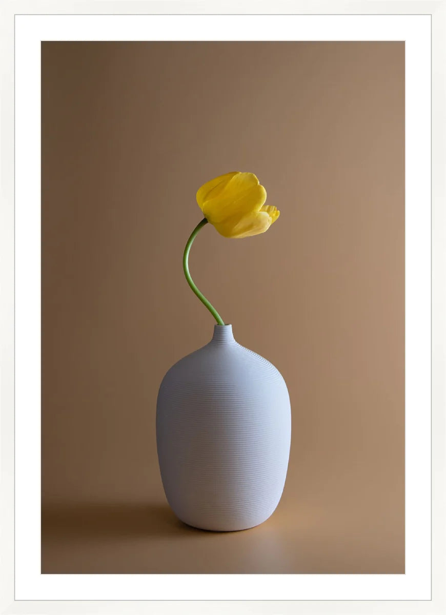 Yellow Flower