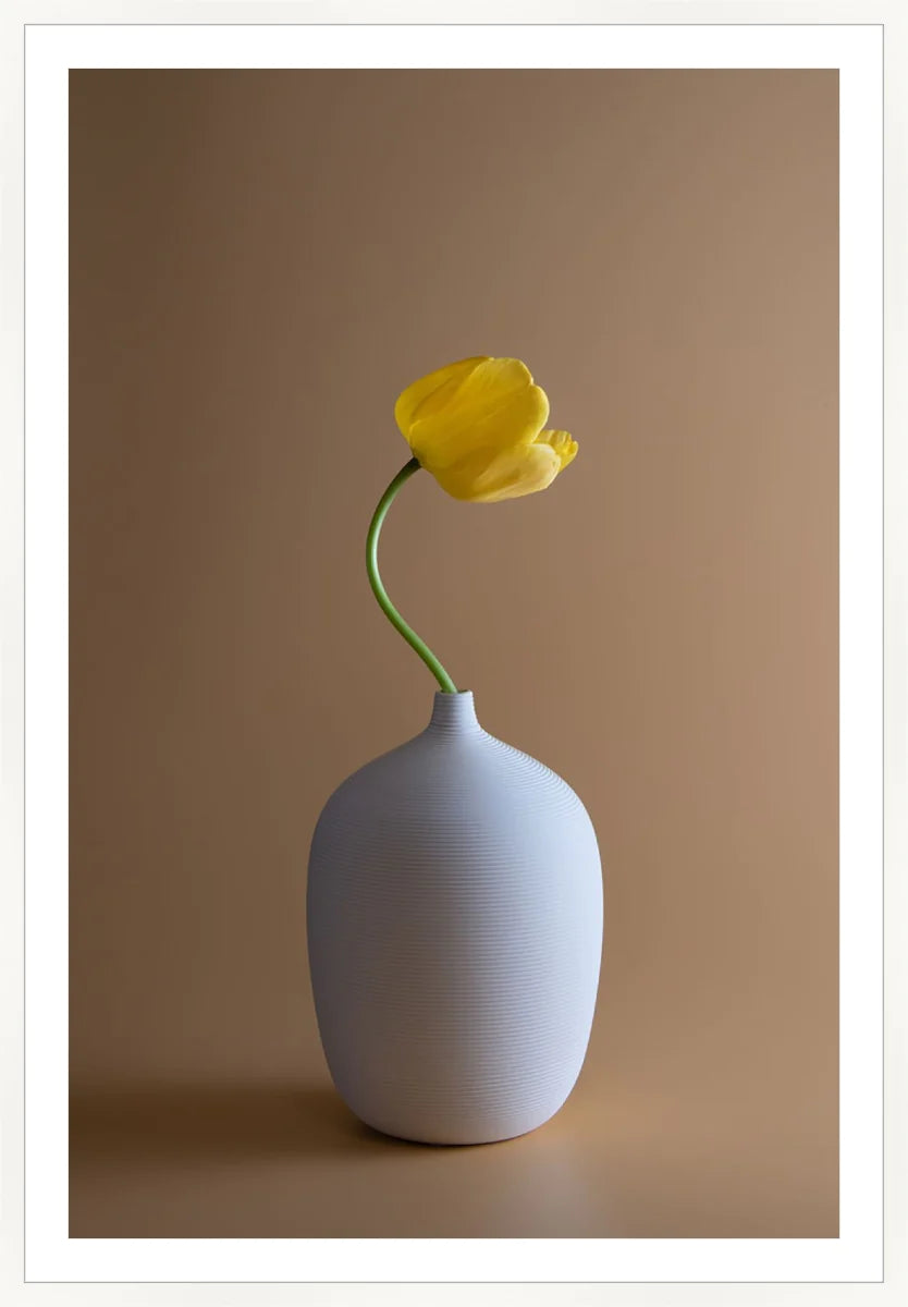 Yellow Flower