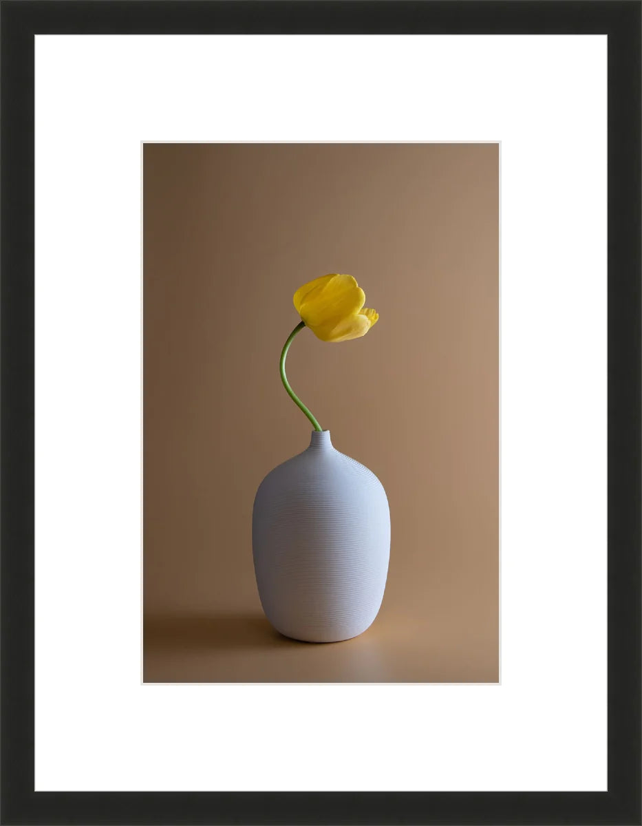 Yellow Flower