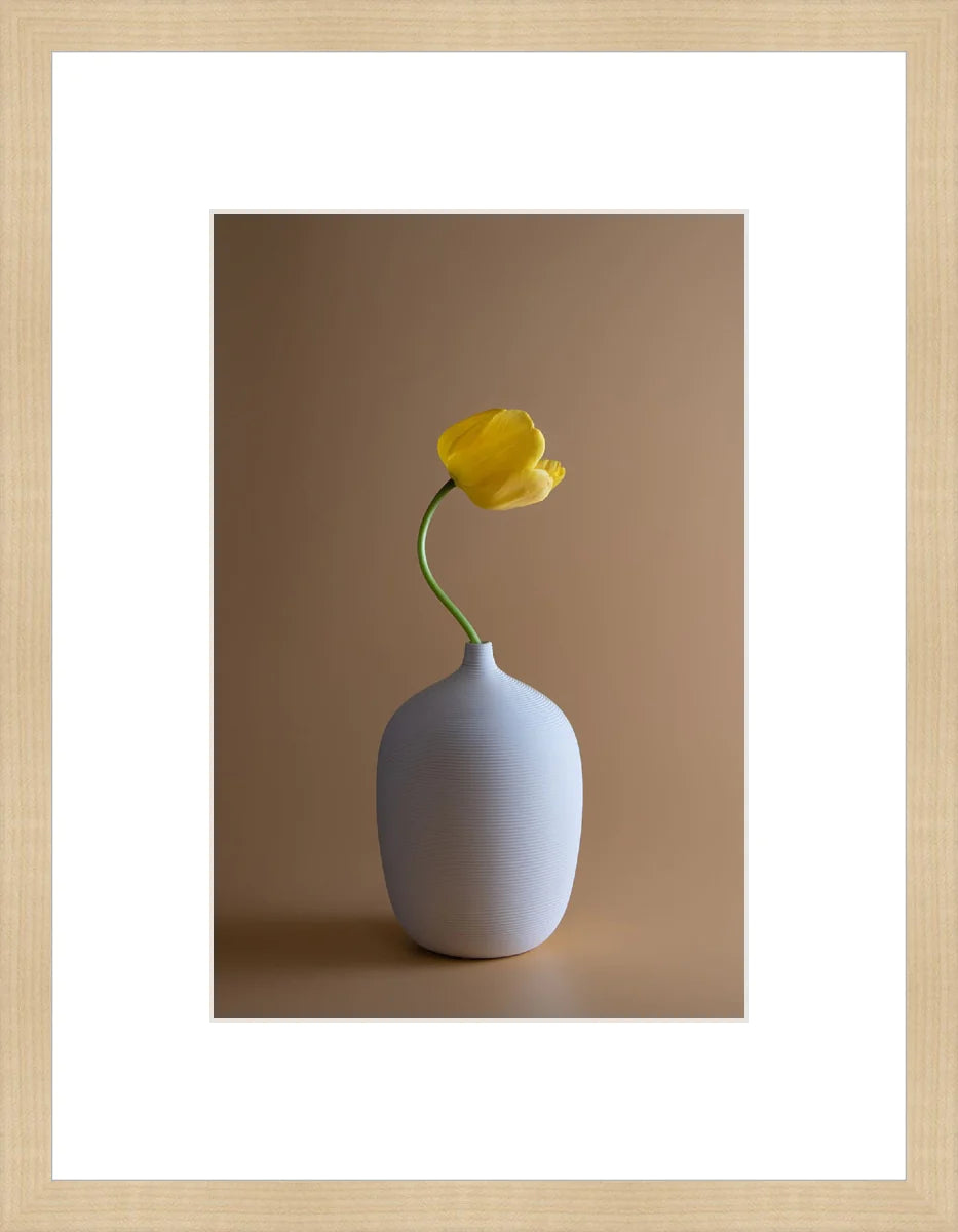 Yellow Flower