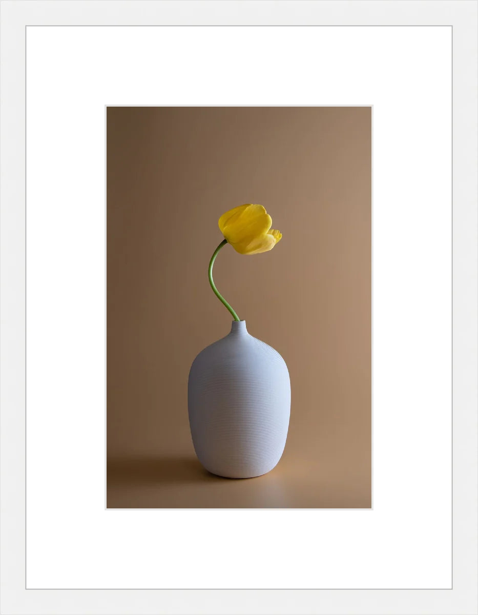 Yellow Flower