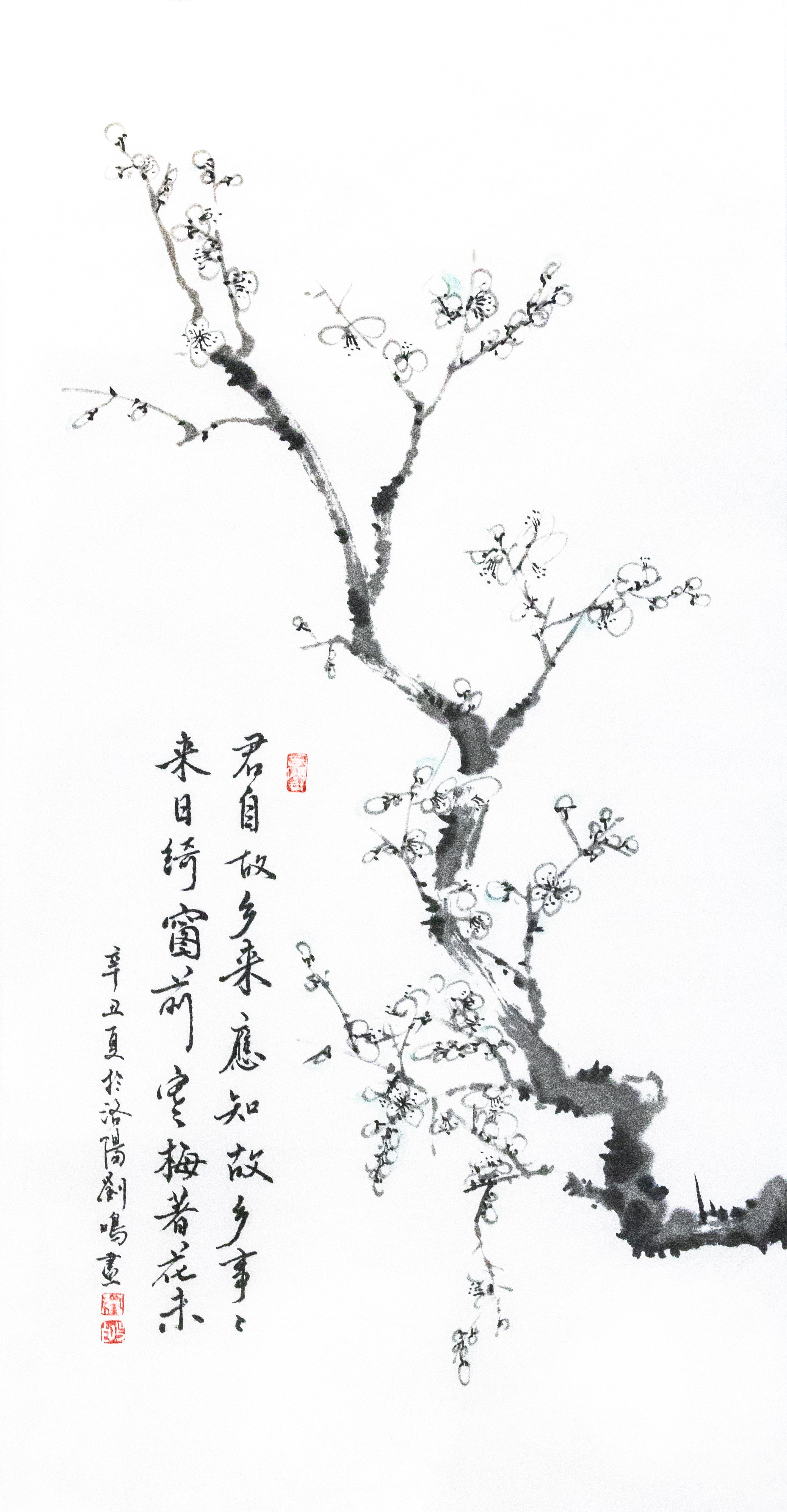 梅花-君自古乡来 Plum Blossom