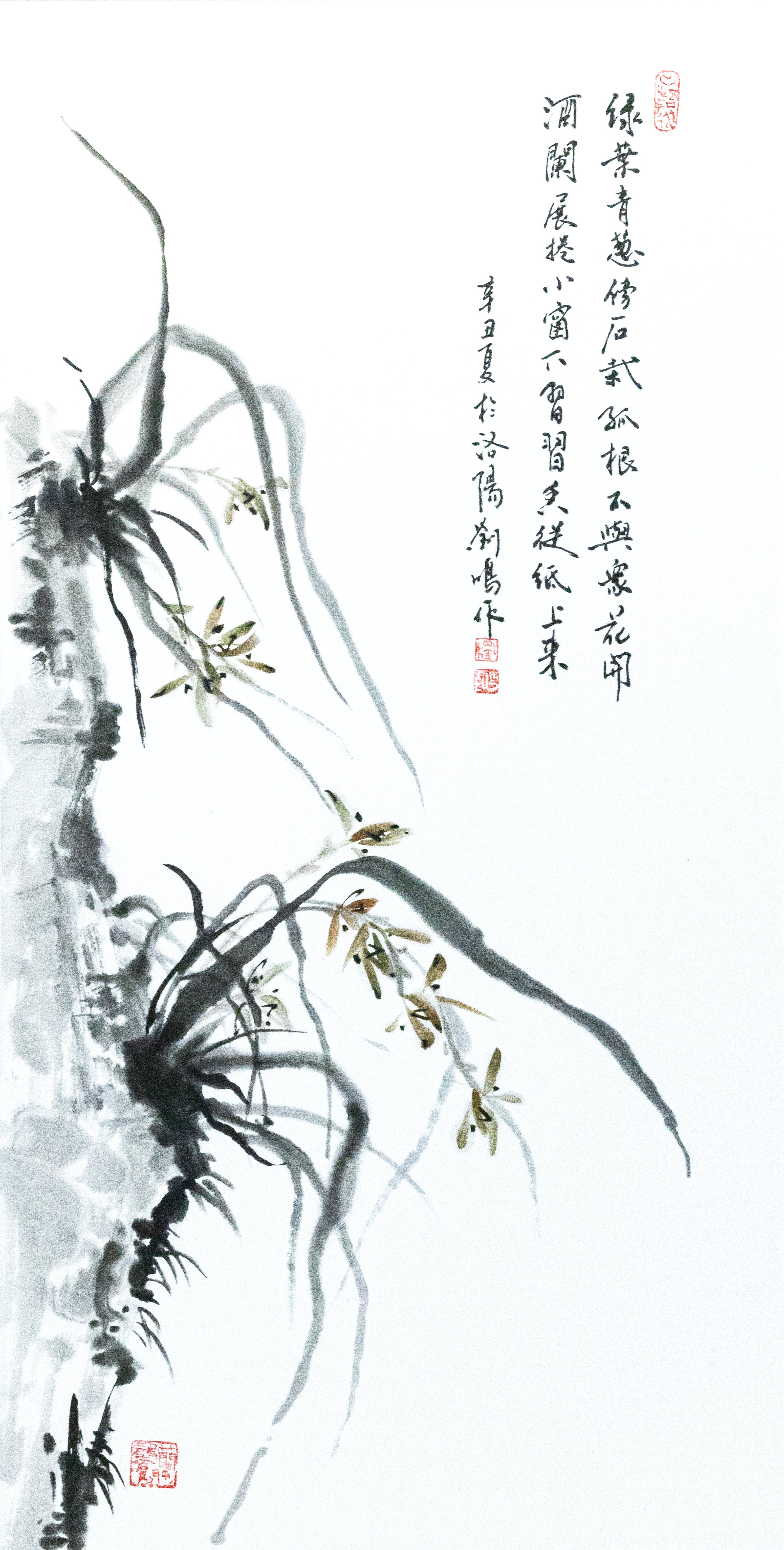 条屏-兰花 Orchid