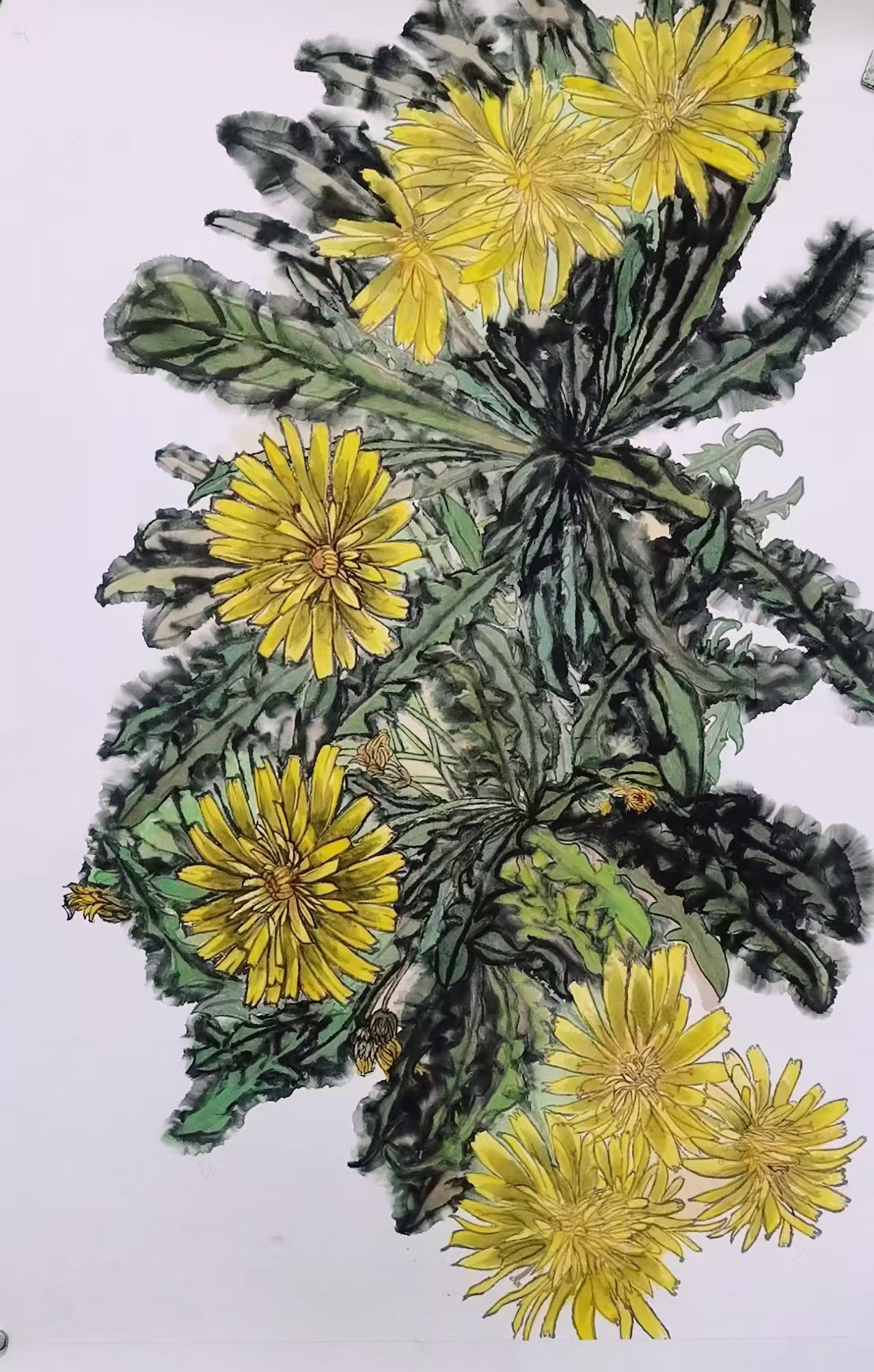 Solitary Bloom 孤芳自赏
