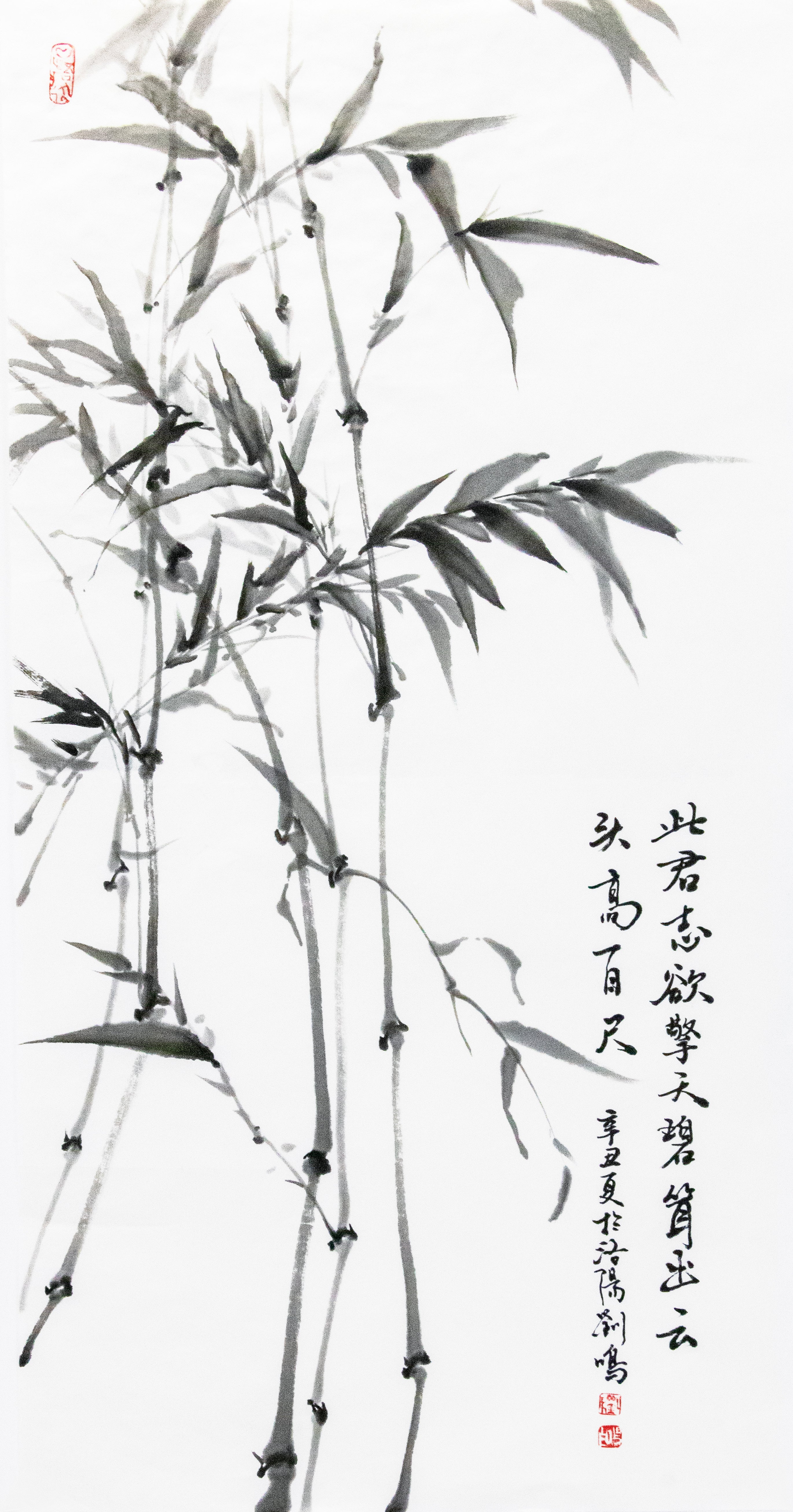 竹子-此君志欲擎天 Bamboo