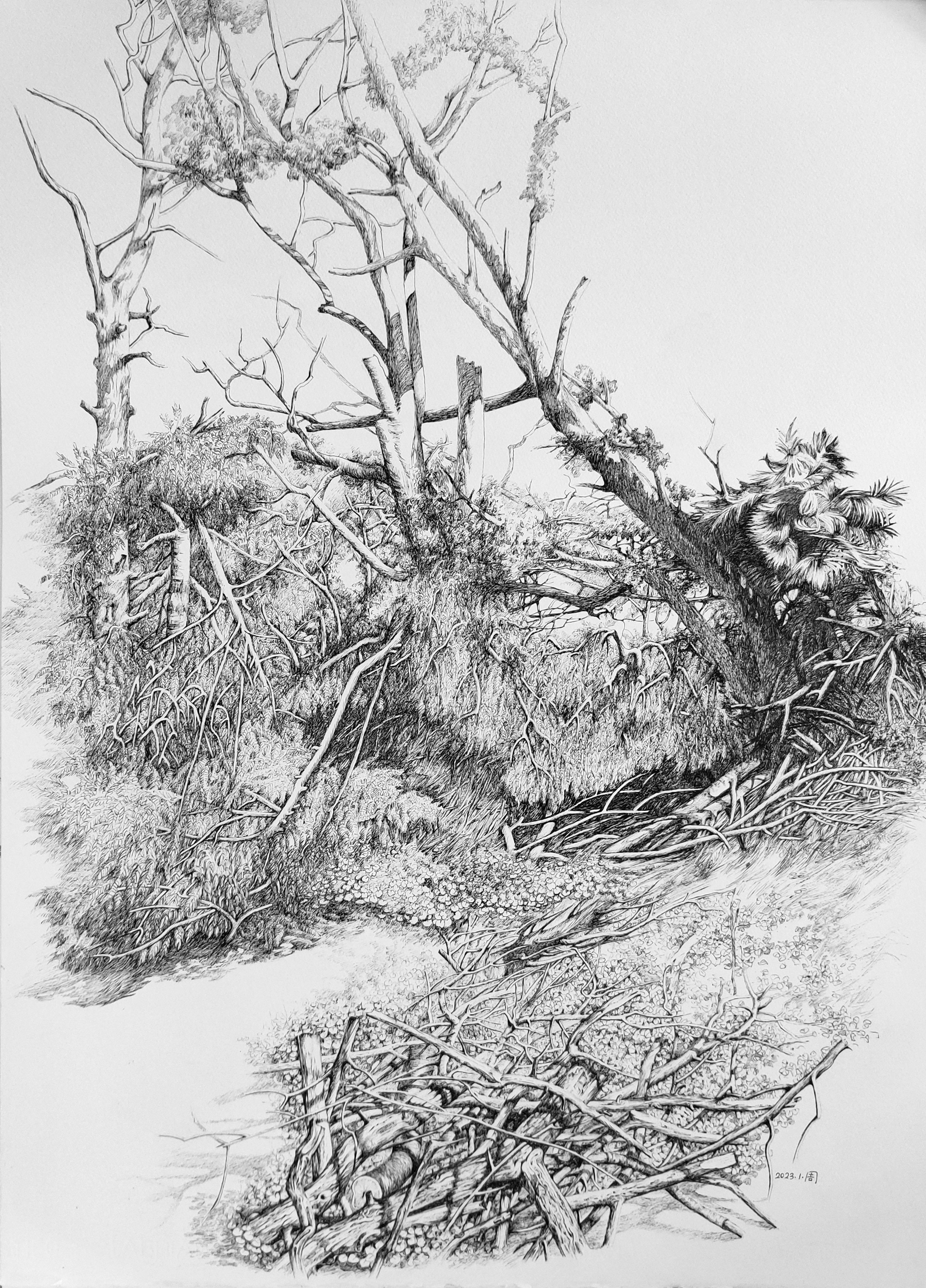 BRONZE MAPLE LEAF AWARD: Landscape 风景 – Zhou, Eileen 周红 – 1003