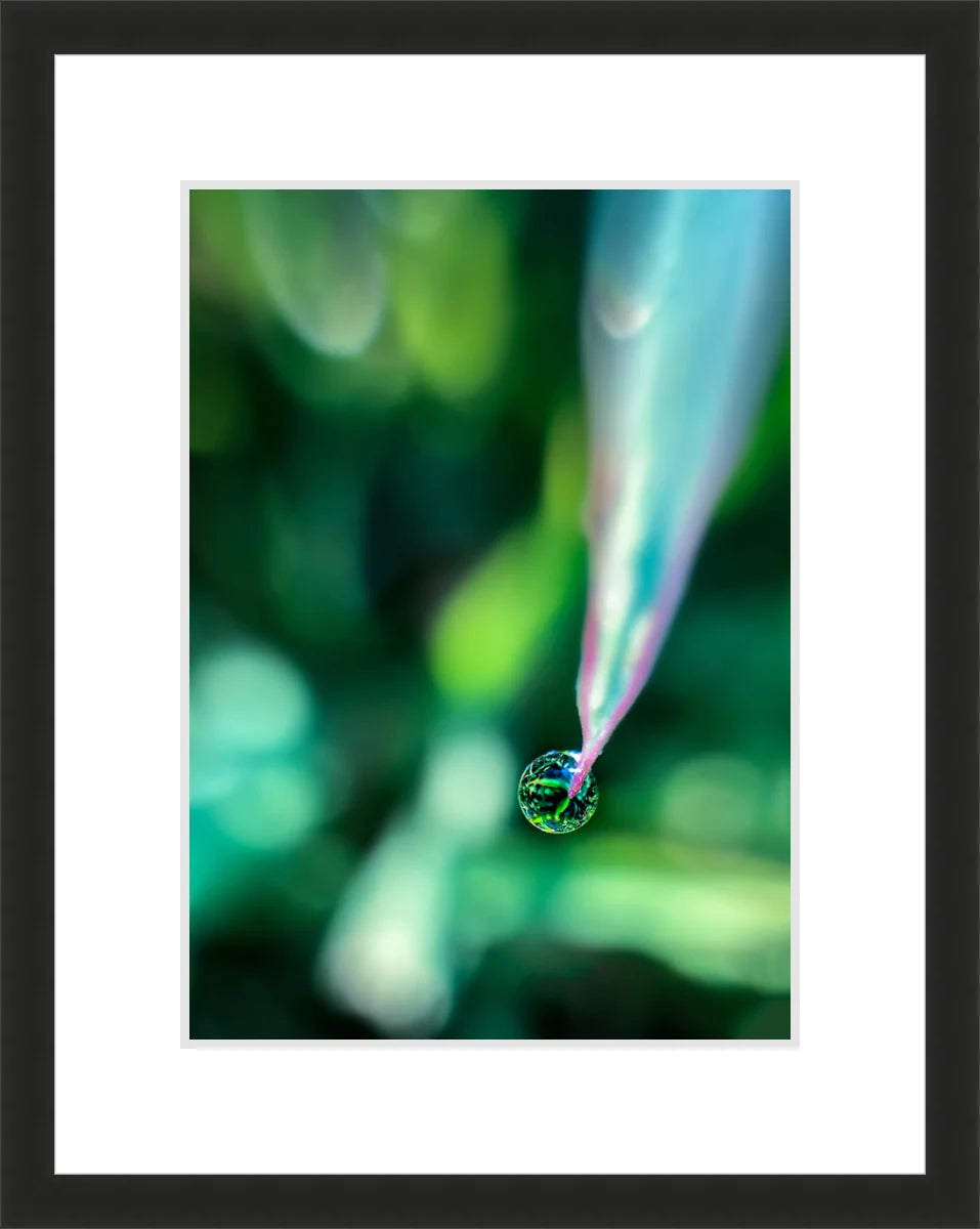 Dew