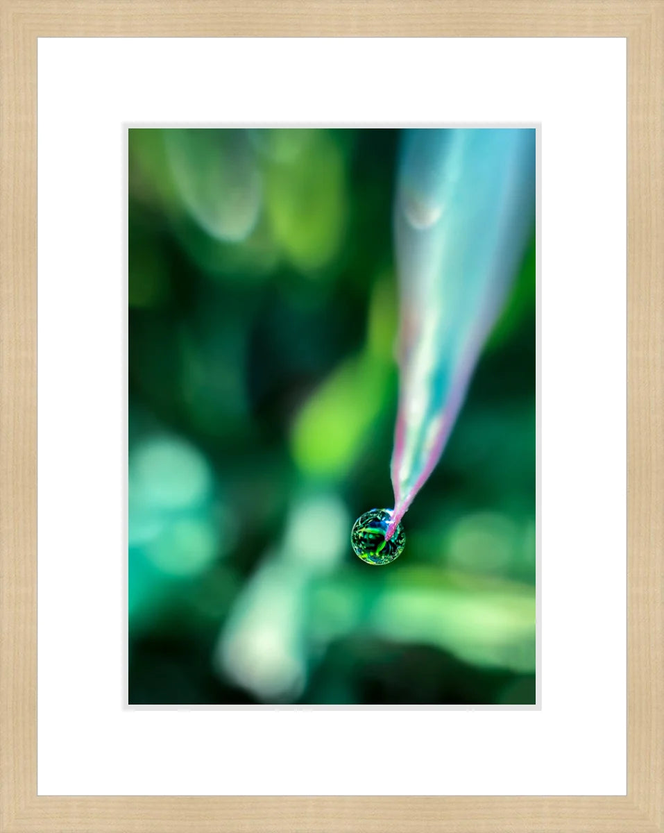 Dew
