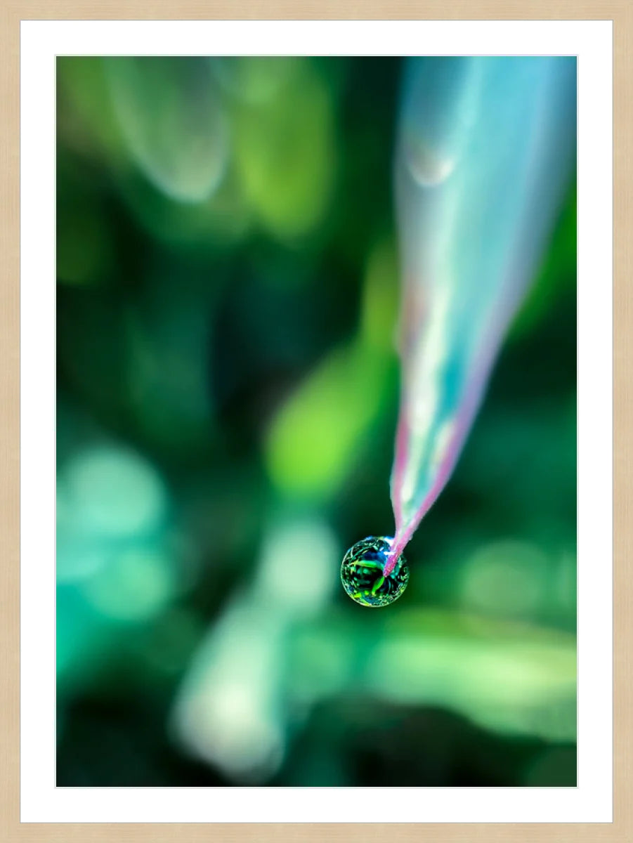 Dew