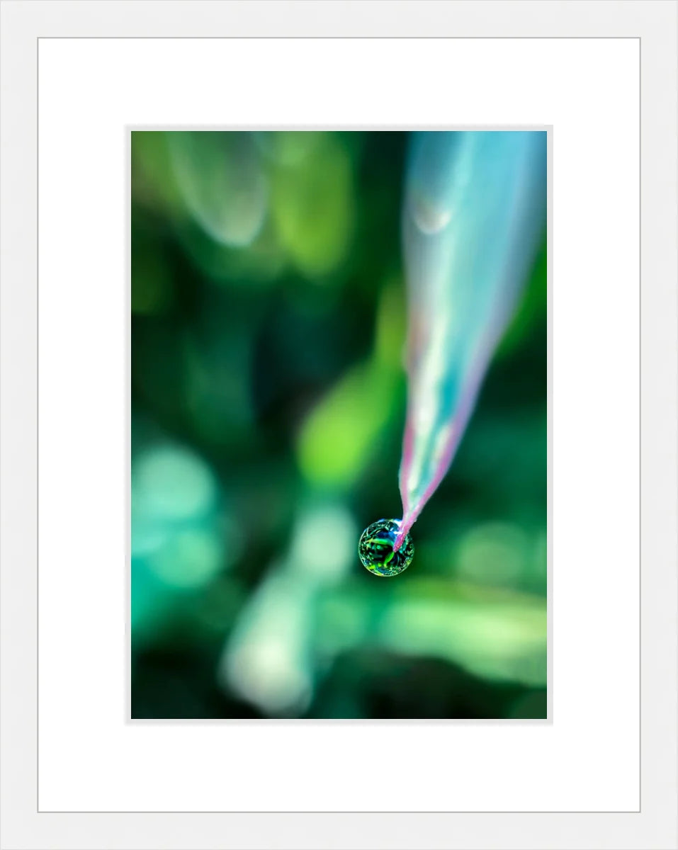 Dew