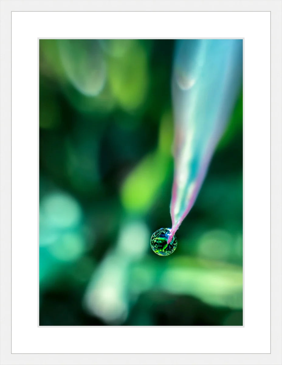 Dew