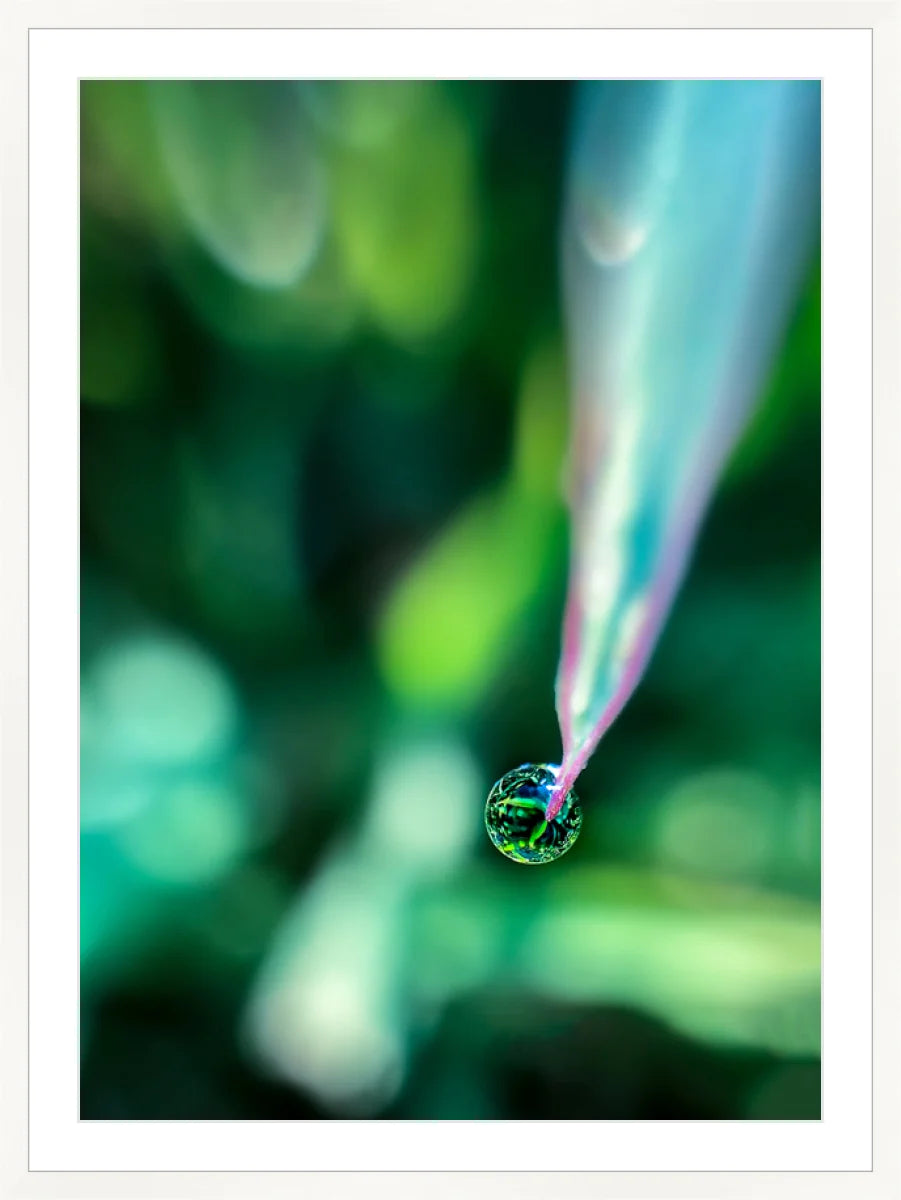 Dew