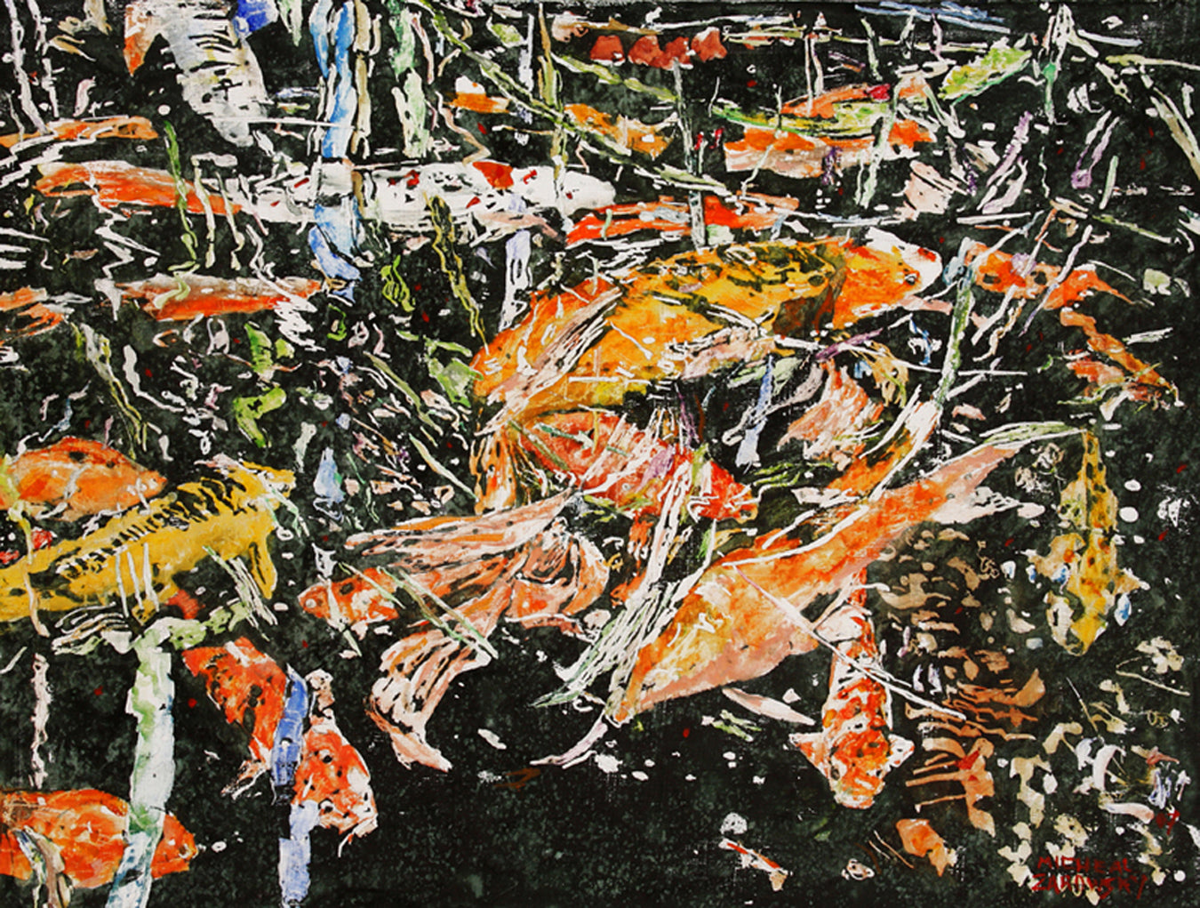 Koi