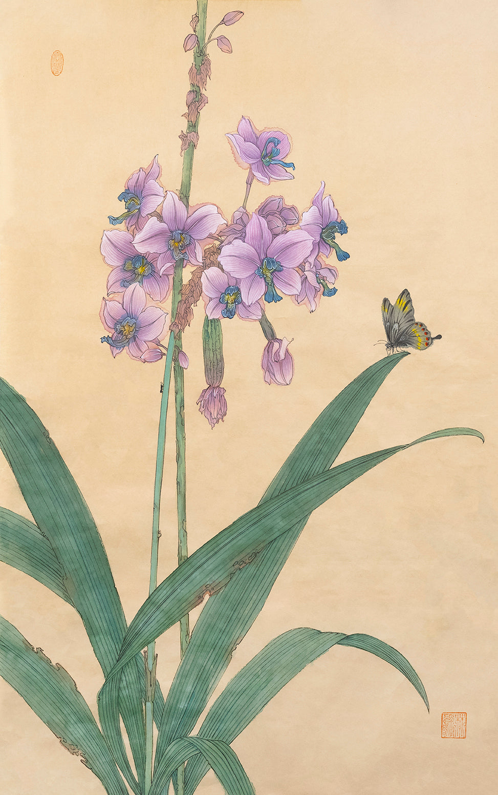 Orchid 兰花