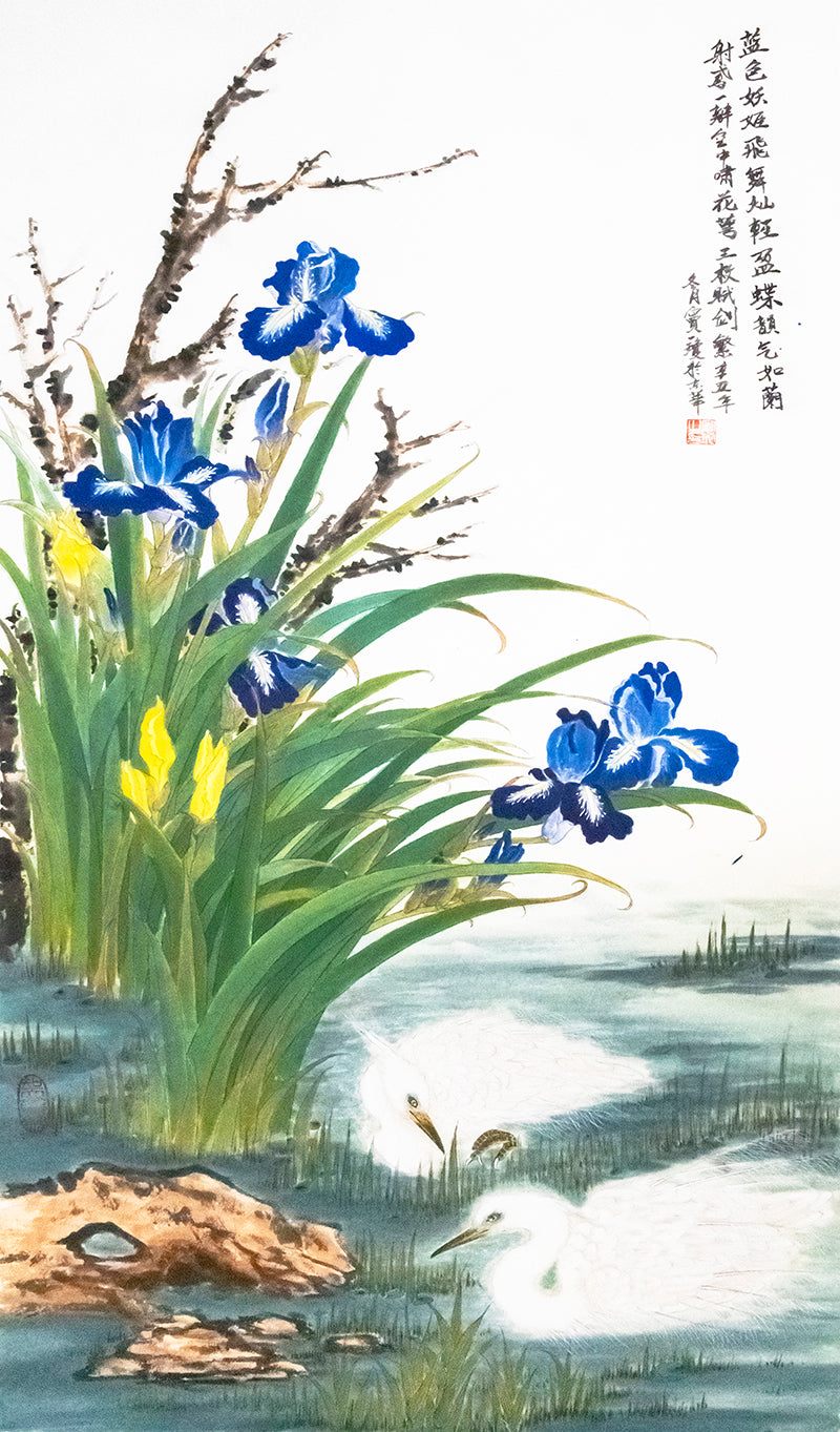 白鹭鸢尾蝴蝶兰 Little Egret with Garden Iris 