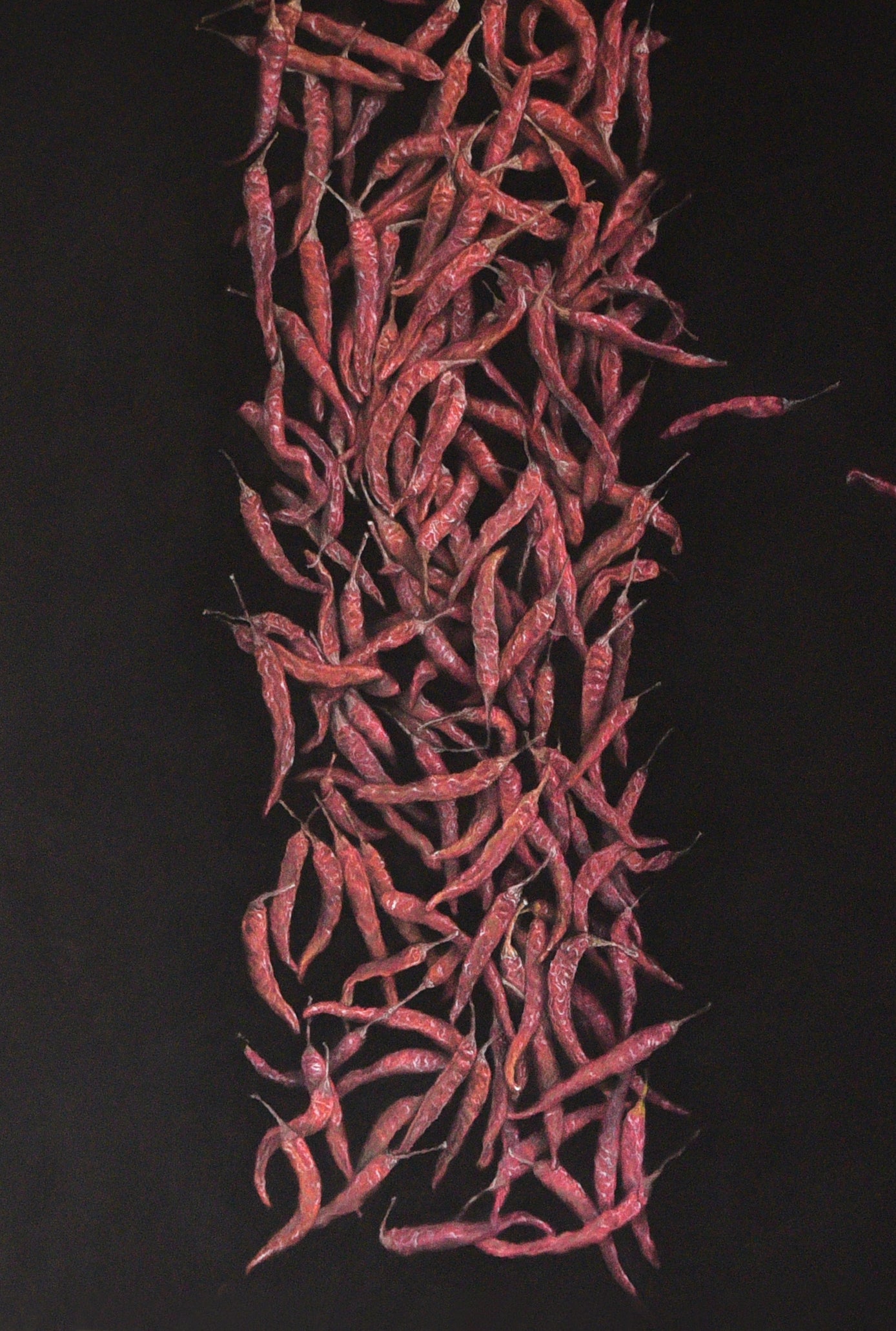 Chinese Red 中国红 – Yuan, Donghu 袁东虎 – 1014 – YM Art Gallery