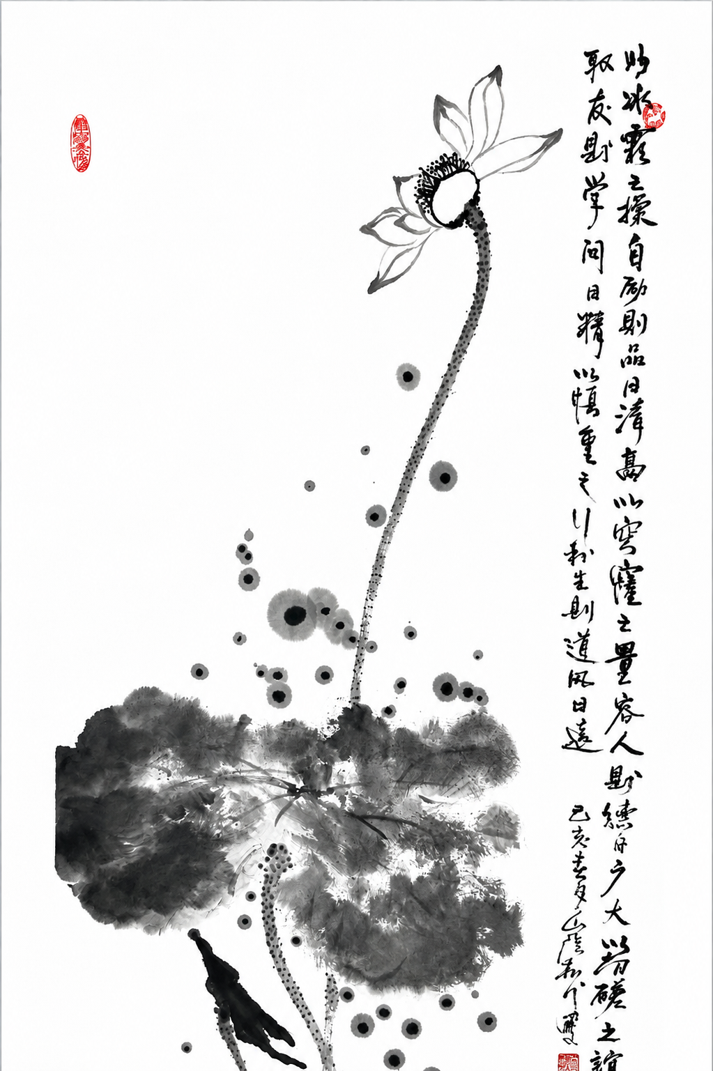 墨荷