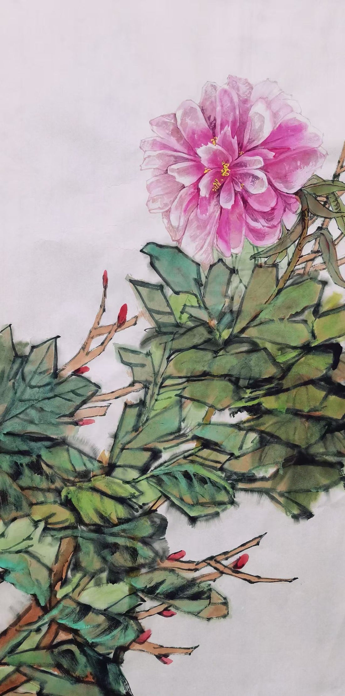Luoyang Peony 洛阳牡丹