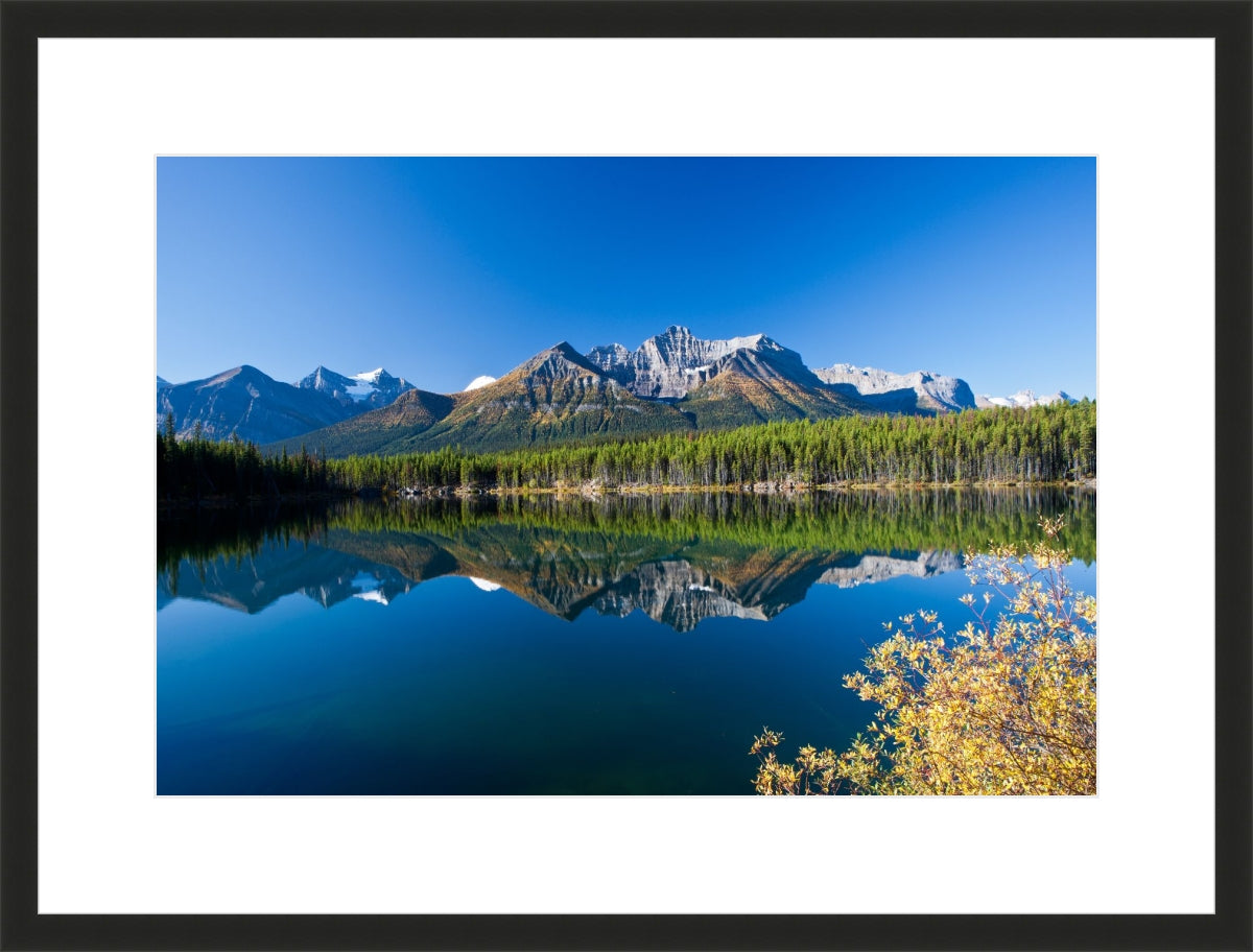 Autumn in Alberta