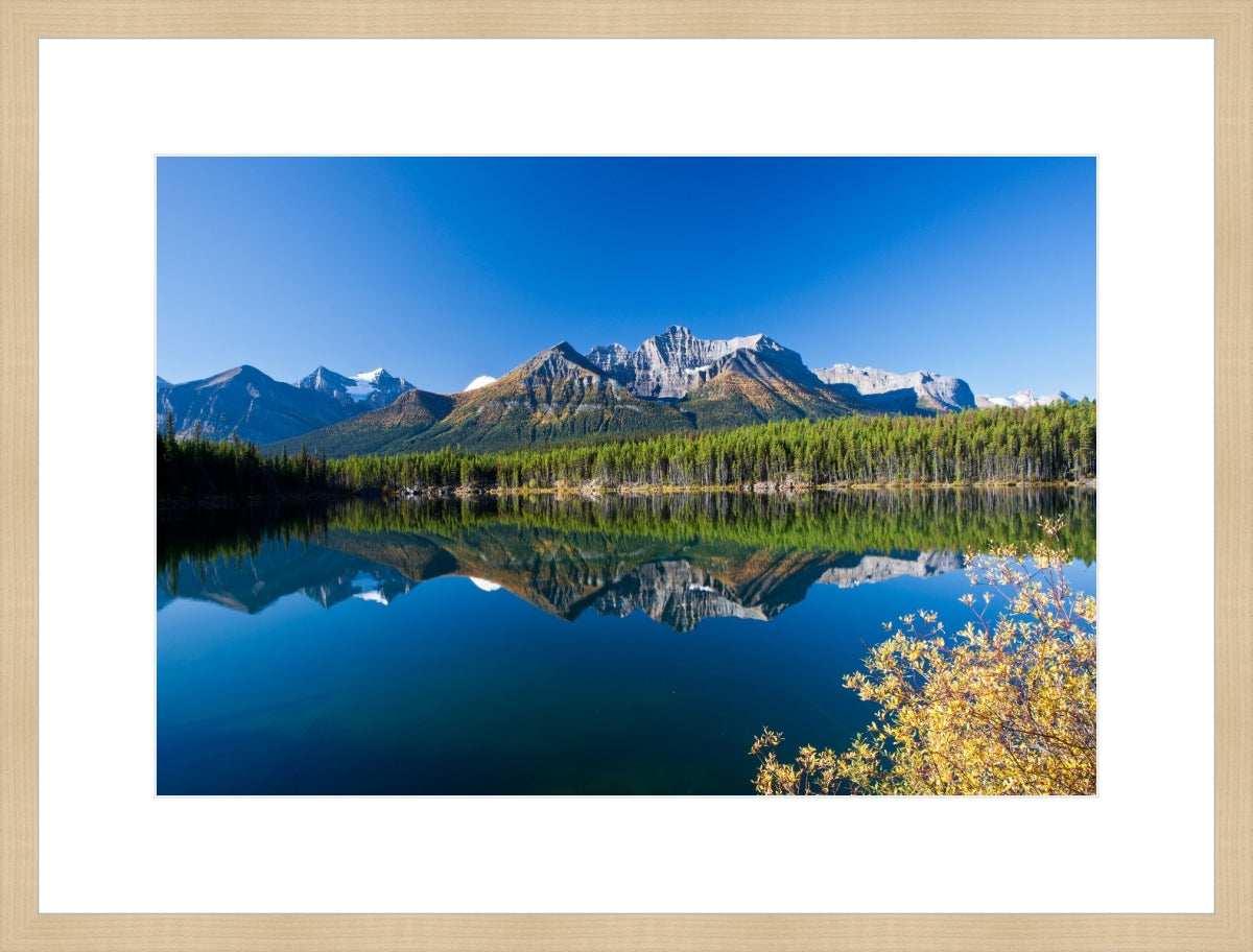 Autumn in Alberta