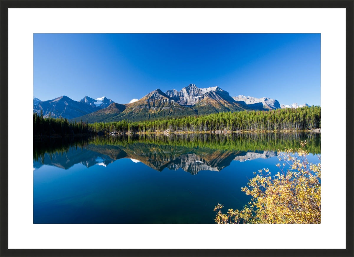 Autumn in Alberta