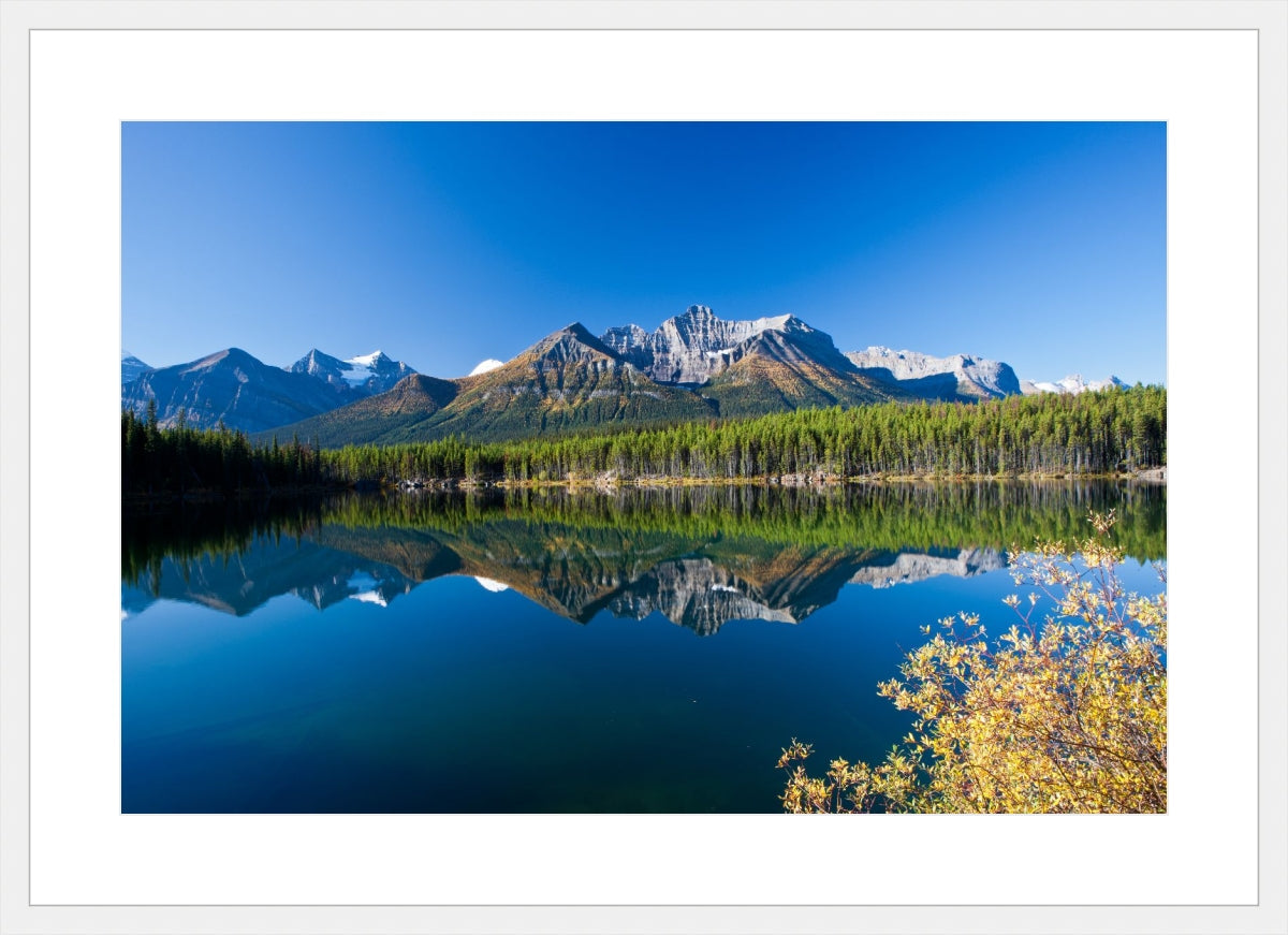 Autumn in Alberta