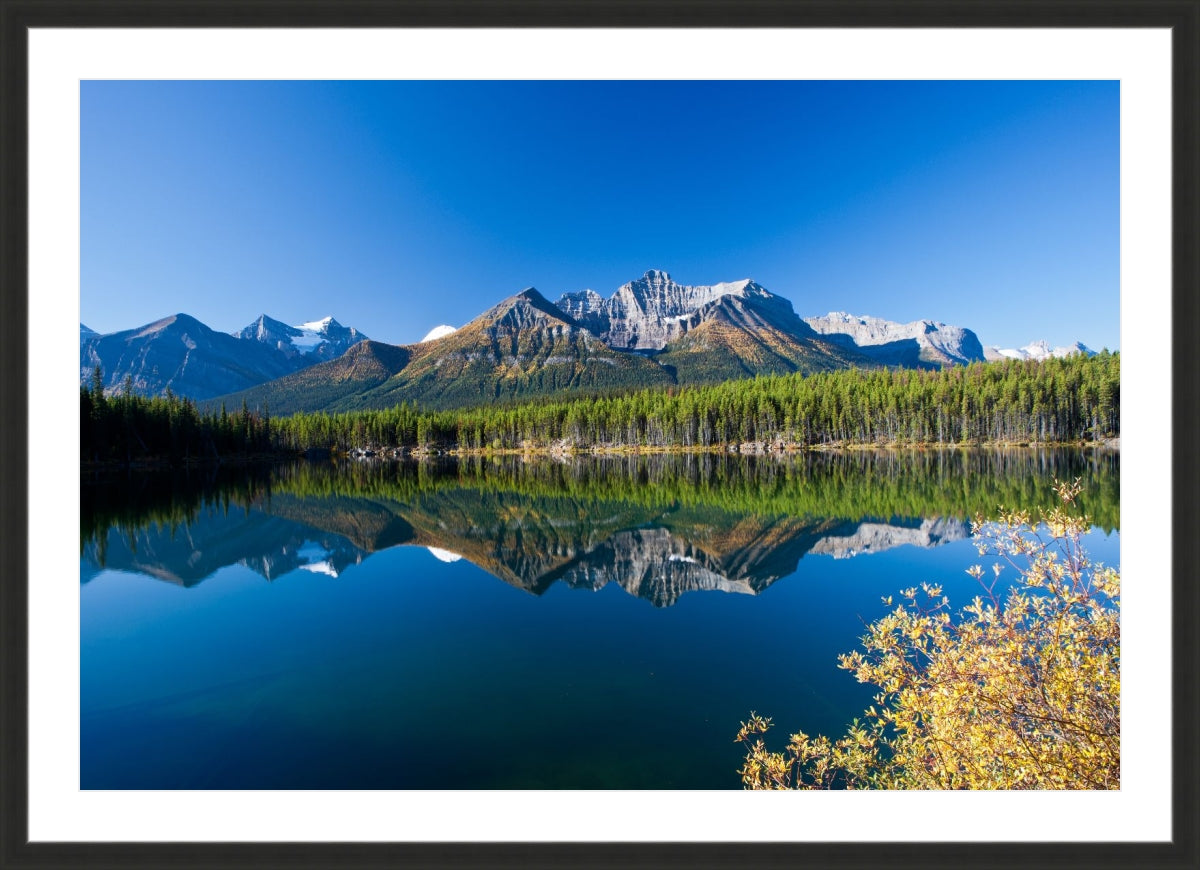 Autumn in Alberta