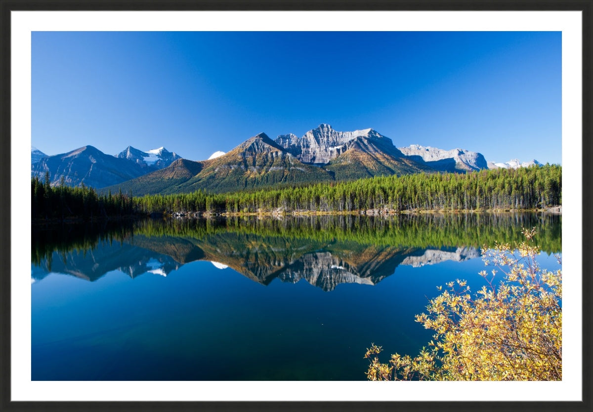 Autumn in Alberta