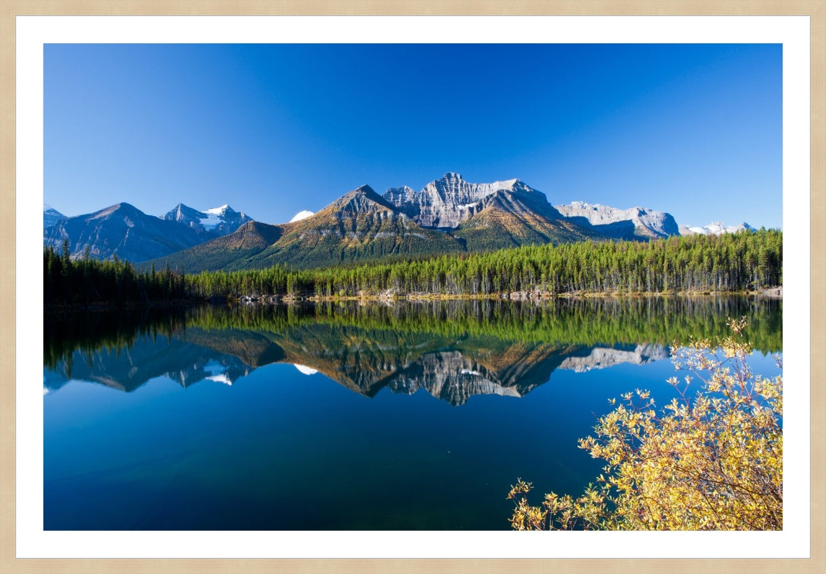 Autumn in Alberta