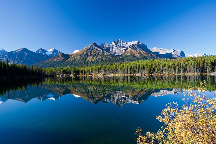 Autumn in Alberta